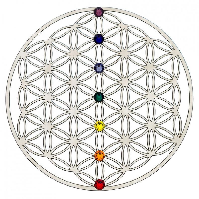 module 2 'éveil de conscience