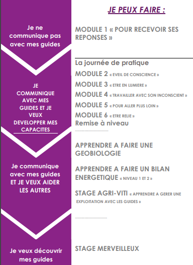 Image organisation des stages